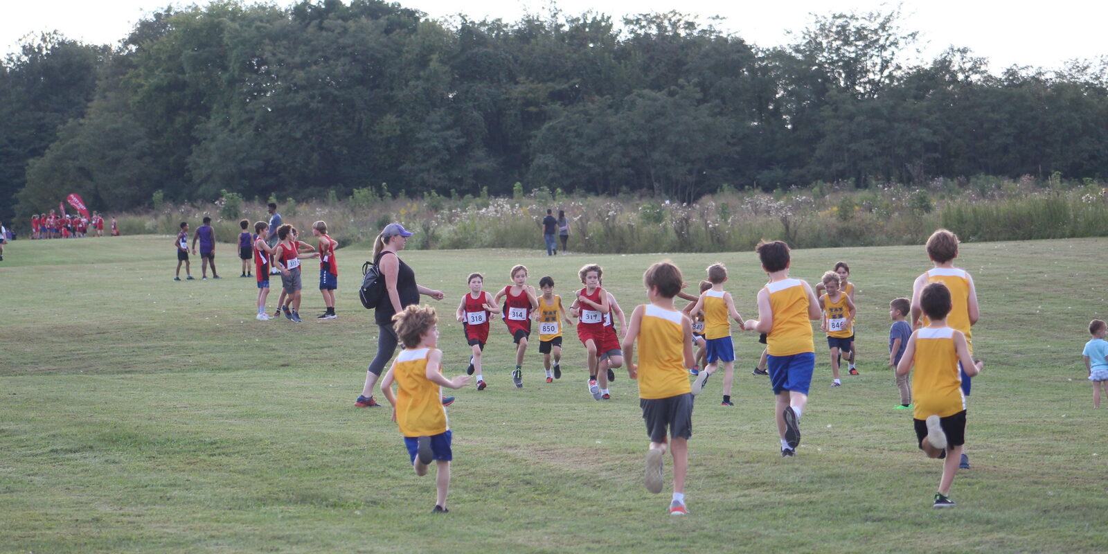 Elementary School Cross Country